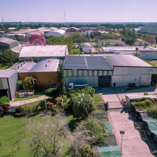 Proyeccion Electroluz